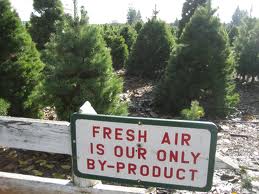 Tips for a sustainable Christmas